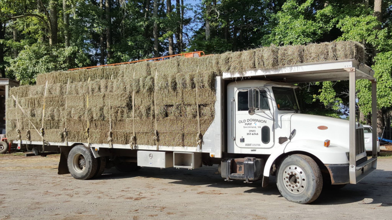 We deliver the old fashioned way -- in person